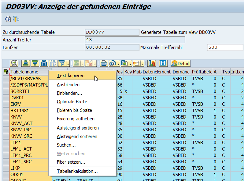 SAP-Customizingkonzept – Der Systematische Weltmeister-Ansatz